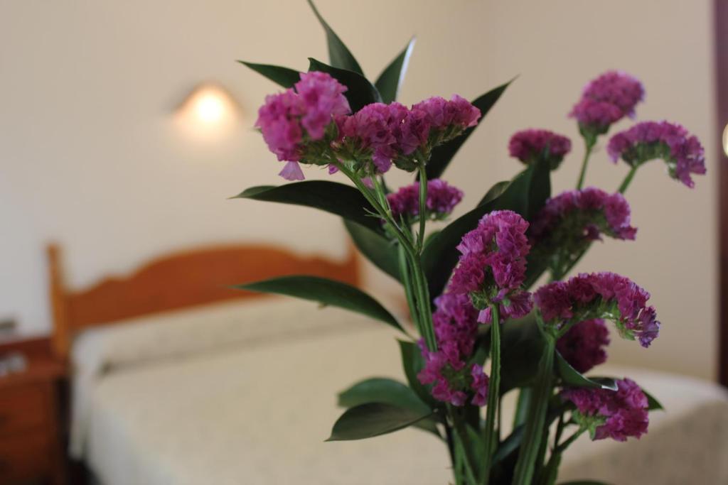 Hotel Abadi Cordova Esterno foto