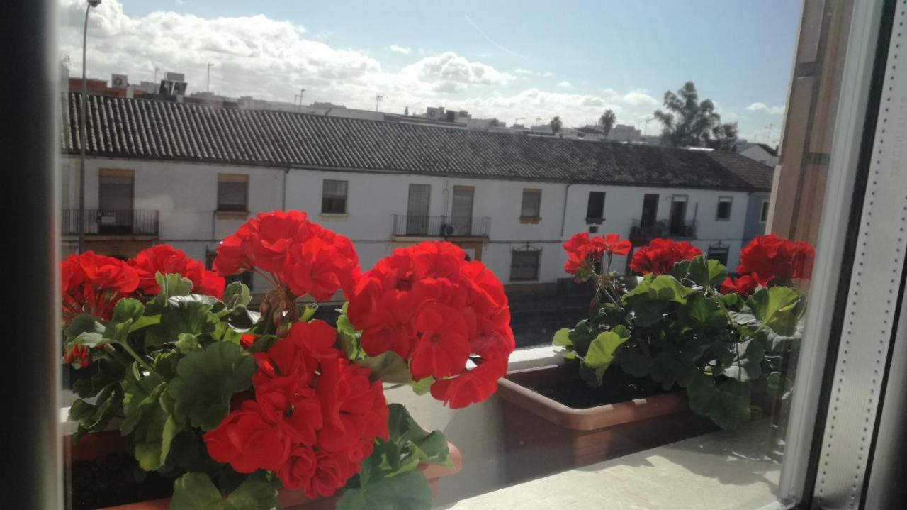 Hotel Abadi Cordova Esterno foto